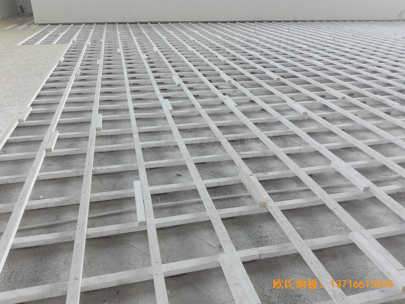 ������ꖵ�ʮ���ЌW�w���^�w��ľ�ذ���b����1