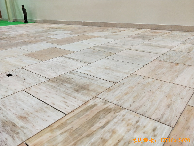 �Ĵ����^�(zh��n)13667����\���^�w��ľ�ذ���b����2