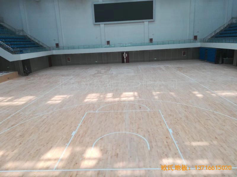 ɽ�|�����L��ɽ�|����W(xu��)Ժ�@���^�w��ľ�ذ���O(sh��)����2