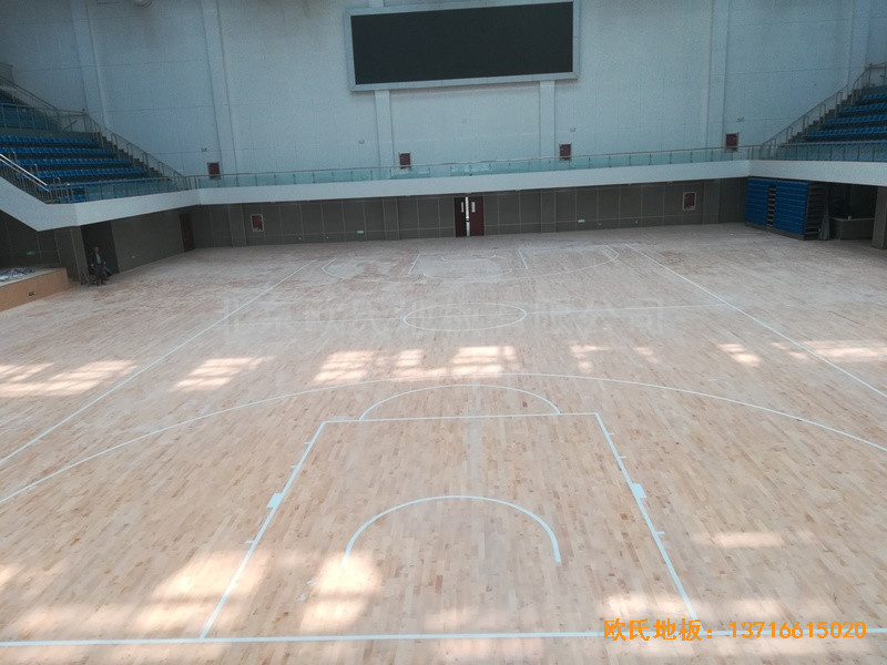 ɽ�|�����L��ɽ�|����W(xu��)Ժ�@���^�w��ľ�ذ���O(sh��)����5