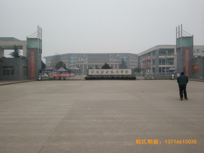 ���u�I���g�WԺ�w���^�\�ӵذ���b����