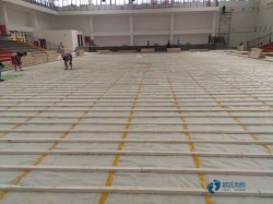 籃球運(yùn)動(dòng)木地板電話