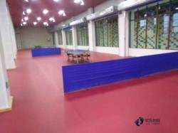 籃球運動木地板保養知識