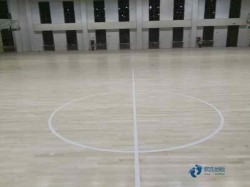 運(yùn)動(dòng)體育木地板品牌哪個(gè)好