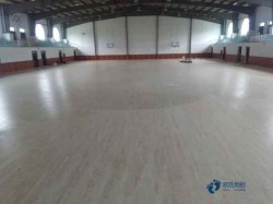 25���\�ӈ�ľ�ذ��Ă������^�h��