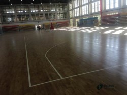 �е��w����ľ�ذ�S�҈�(b��o)�r(ji��)