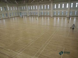 常用運(yùn)動木地板環(huán)保